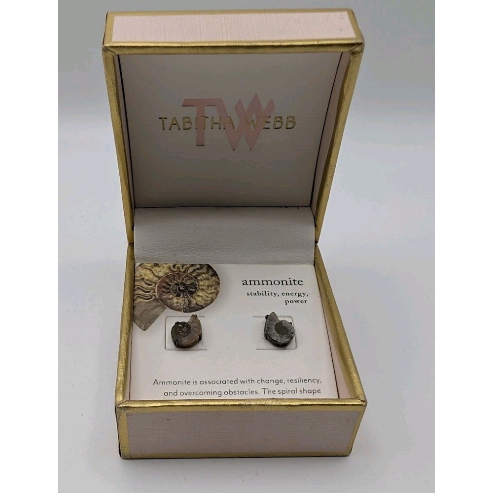 Tabitha Webb Sterling Silver Ammonite Fossil Stud Earrings - Natural Spiral